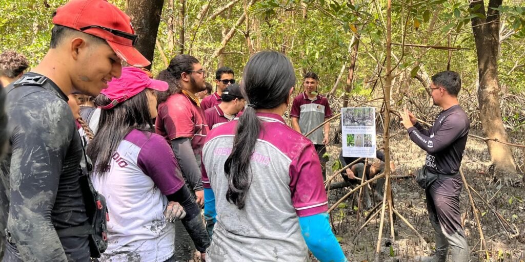 educacao-ambiental-aproxima-estudantes-do-maior-manguezal-do-planeta