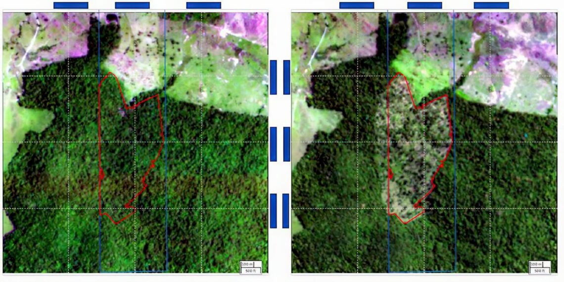 bndes-usa-imagens-de-satelite-para-barrar-emprestimo-a-desmatadores