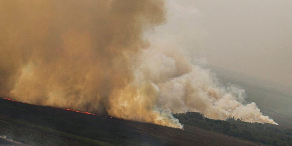 dino-homologa-parcialmente-plano-anti-incendios-na-amazonia-e-pantanal